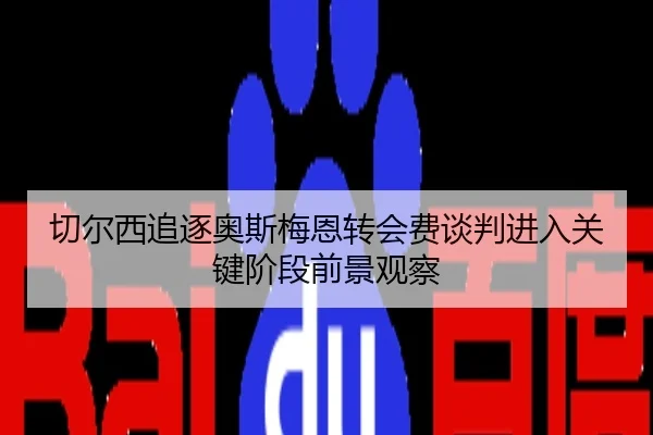 切尔西追逐奥斯梅恩转会费谈判进入关键阶段前景观察