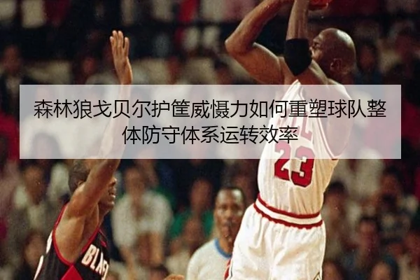 森林狼戈贝尔护筐威慑力如何重塑球队整体防守体系运转效率